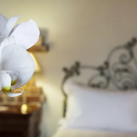 Grand Torretta, Curio Collection By Hilton 4*