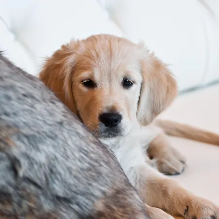 Hotel Grand Torretta, Curio Collection By Hilton